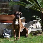 Casa Nina