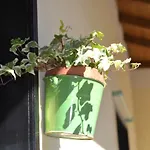 Bed & Breakfast Casa Nina *