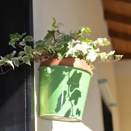 Bed & Breakfast Casa Nina *