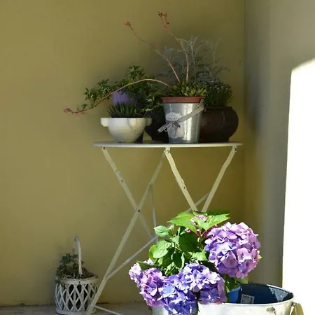 Casa Nina * Тойрано