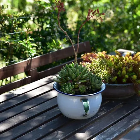 Casa Nina Отель типа 