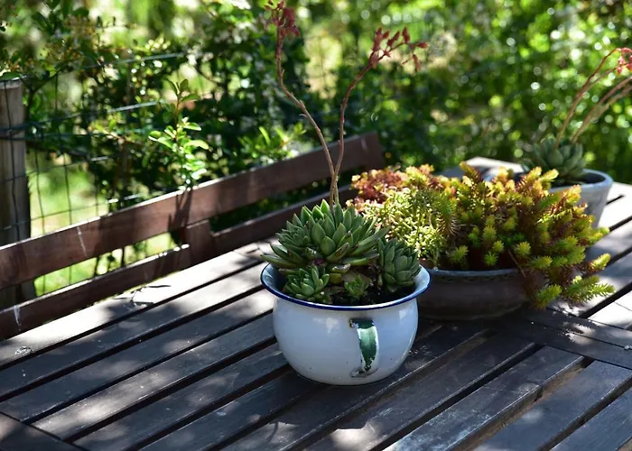 Casa Nina Bed and Breakfast *